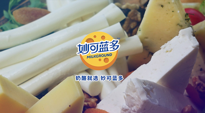 妙可藍(lán)多餐桌市場(chǎng)營(yíng)銷(xiāo)策劃